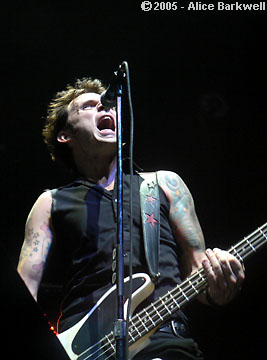 thumbnail image of Mike Dirnt from Green Day